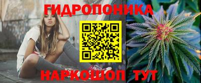 гашик Будённовск