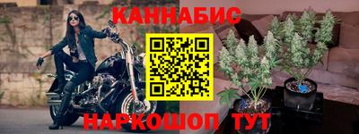 гашик Будённовск