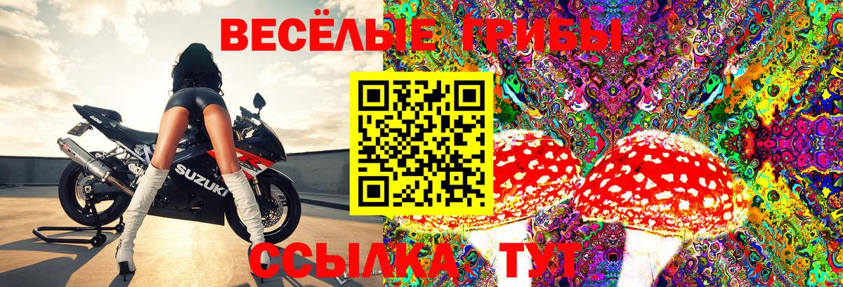 Псилоцибиновые грибы ЛСД  Псилоцибиновые грибы Magic Shrooms  Вход с VPN  Междуреченск 